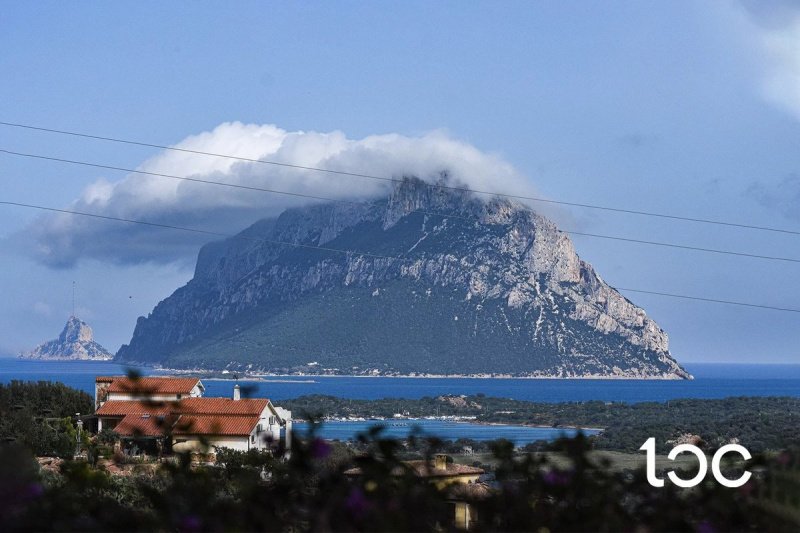 Villa à Loiri Porto San Paolo