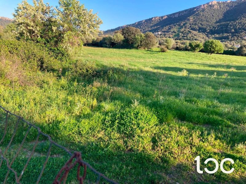 Jordbruksmark i Torpè