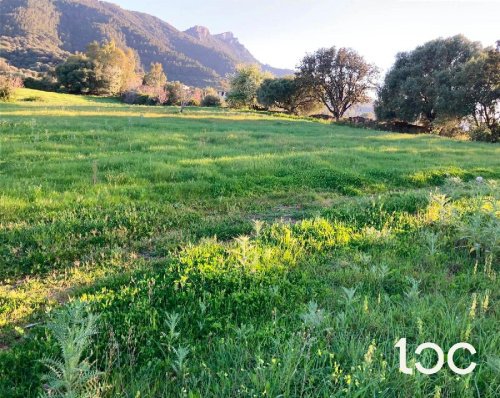 Jordbruksmark i Torpè