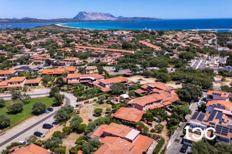 Maison mitoyenne à San Teodoro