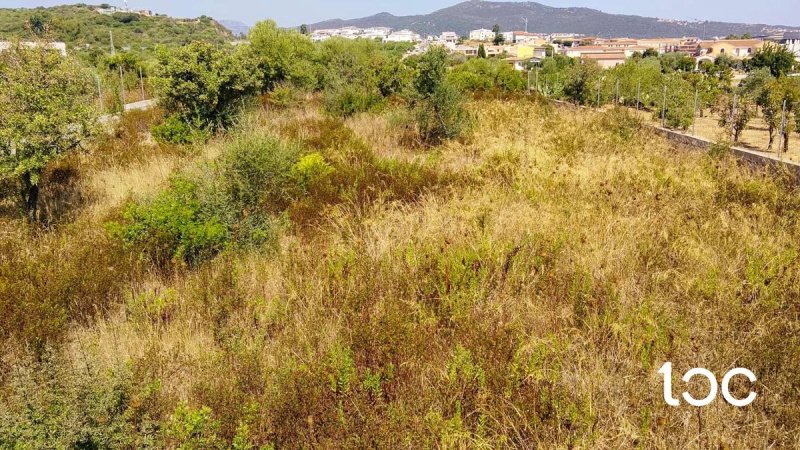 Terreno edificabile a Budoni