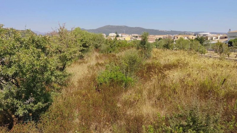Terreno edificabile a Budoni