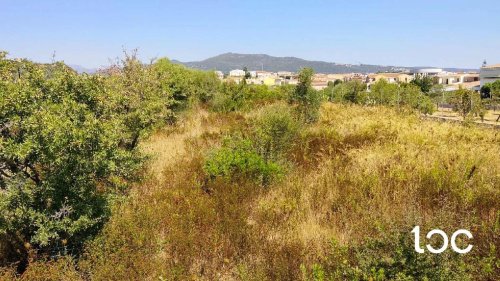 Terreno edificabile a Budoni