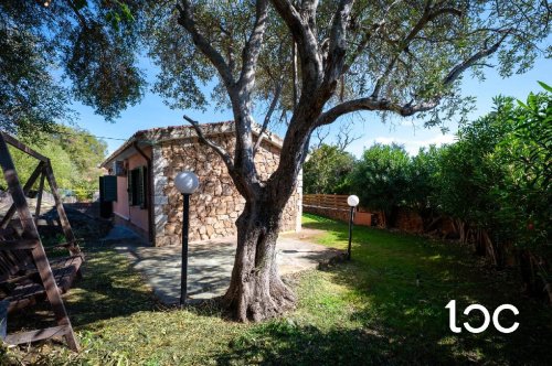 Maison mitoyenne à San Teodoro