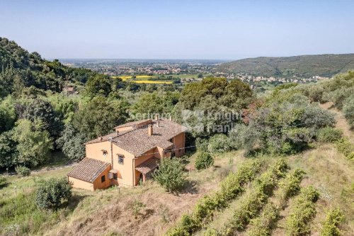 Hus i San Giuliano Terme