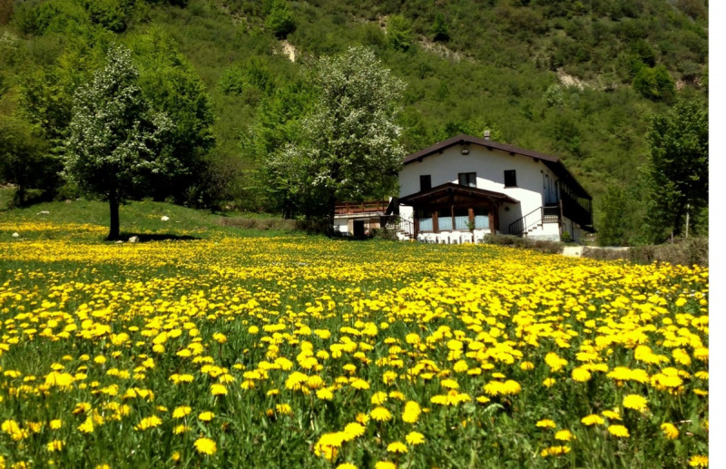Urlaub auf dem Bauernhof in Brallo di Pregola