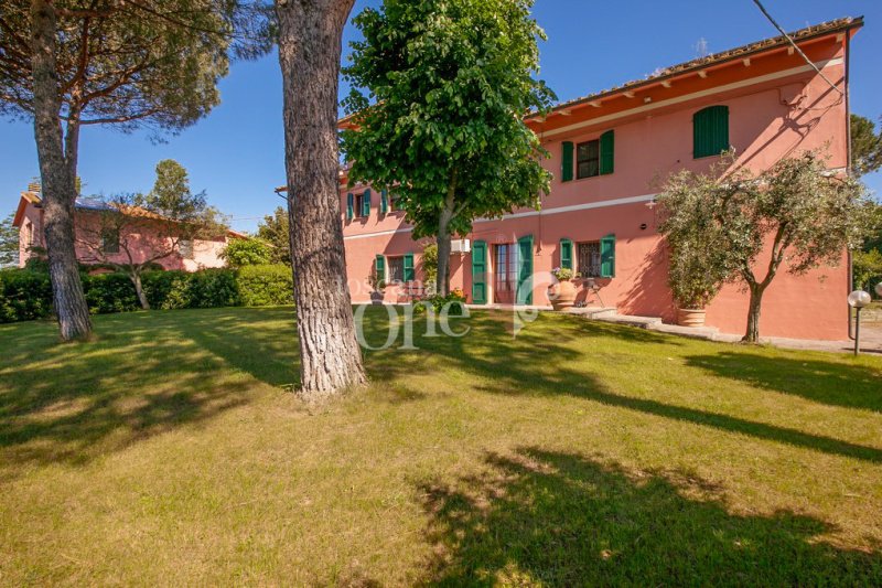 Casa a Fauglia