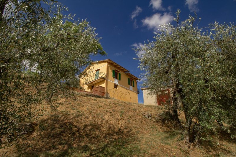 House in Palaia