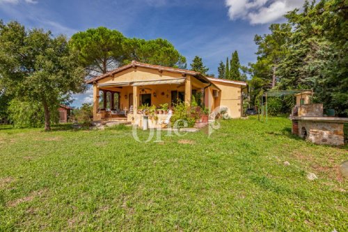 Haus in Magliano in Toscana