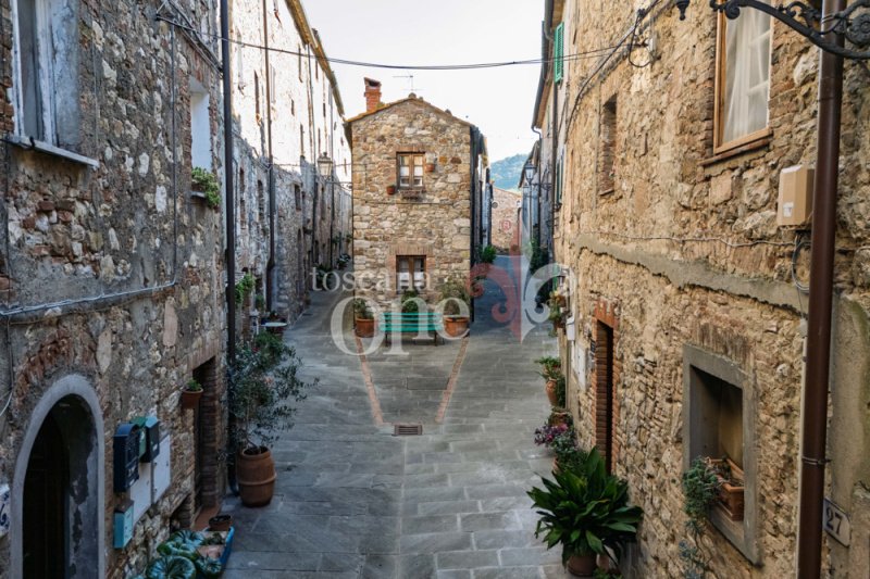 Apartment in Monteverdi Marittimo