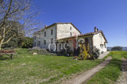 Maison à Scansano