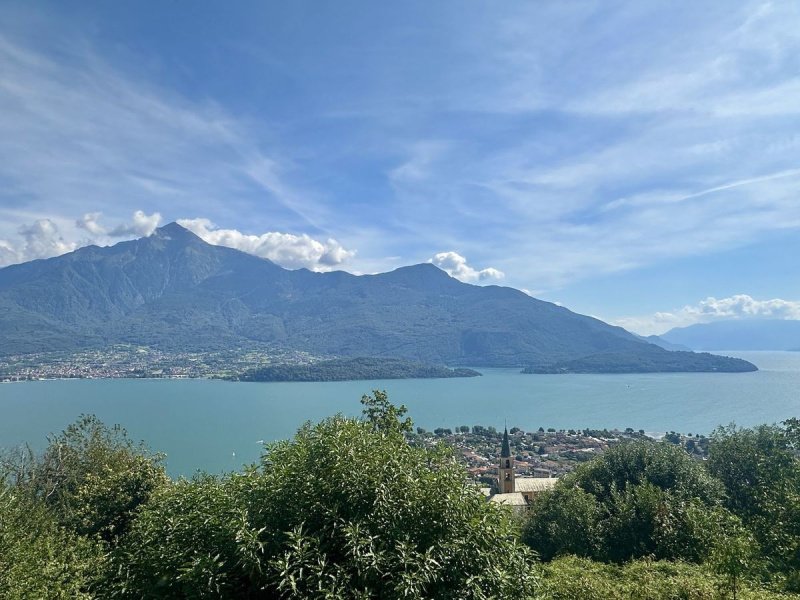 多马索建筑用地