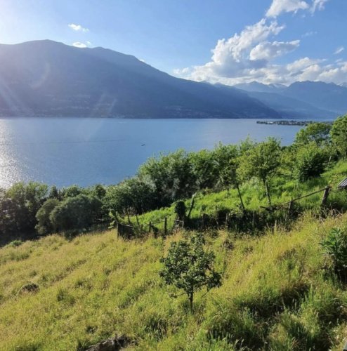 Bouwgrond in Bellano