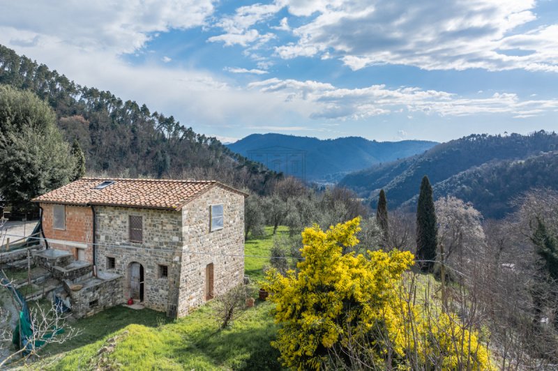 Ferme à Lucques