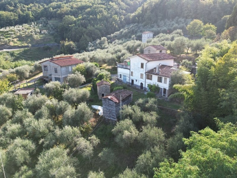 Bauernhaus in Lucca