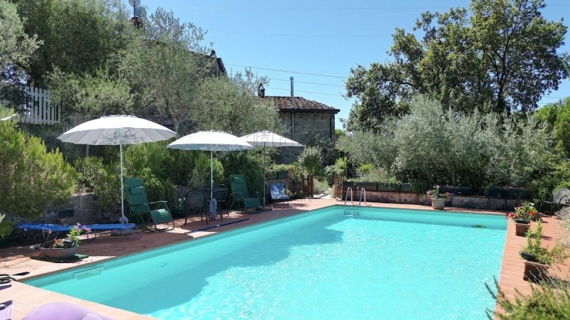 Lantställe i Camaiore