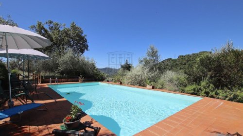 Lantställe i Camaiore