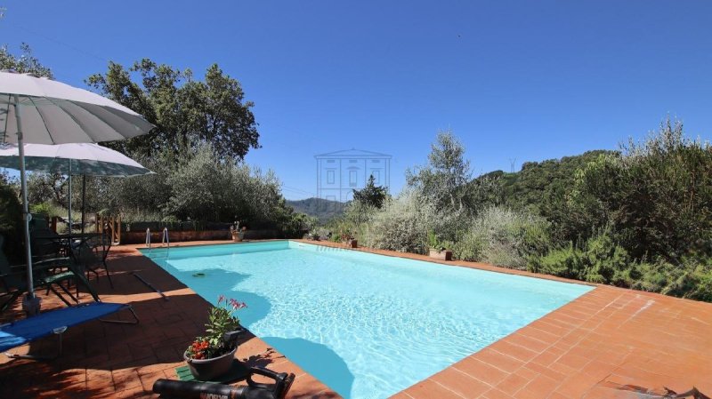 Lantställe i Camaiore