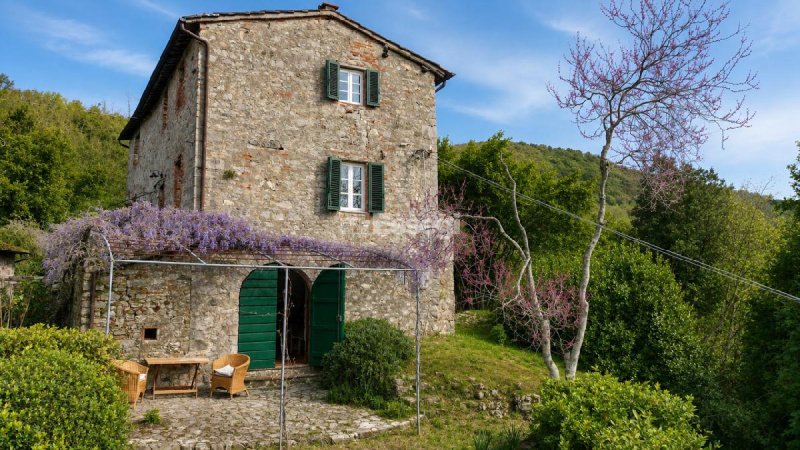 Farmhouse in Lucca
