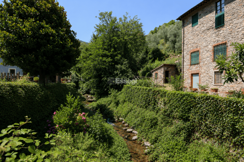 Top-to-bottom house in Capannori
