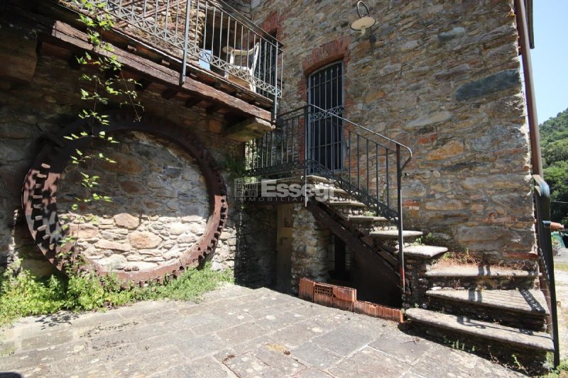 Top-to-bottom house in Capannori