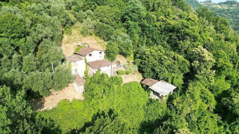 Woonboerderij in Borgo a Mozzano