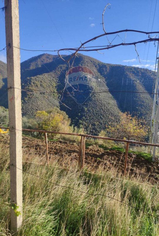 Terreno agrícola em Taggia