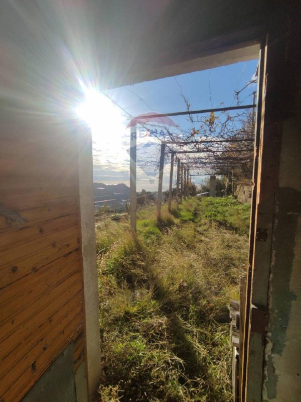 Terreno agrícola en Taggia