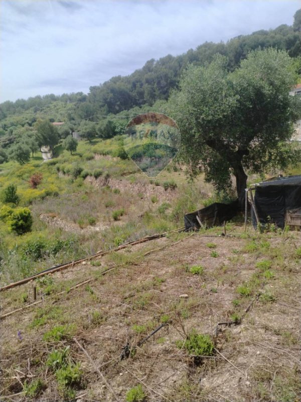 聖雷莫农用土地