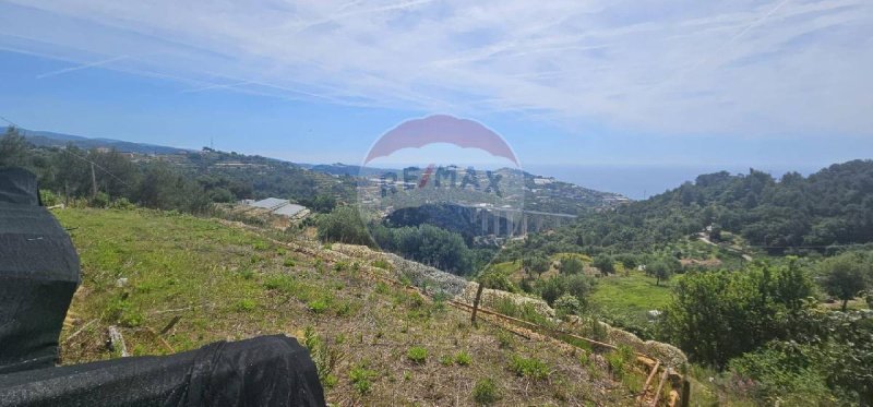 聖雷莫农用土地