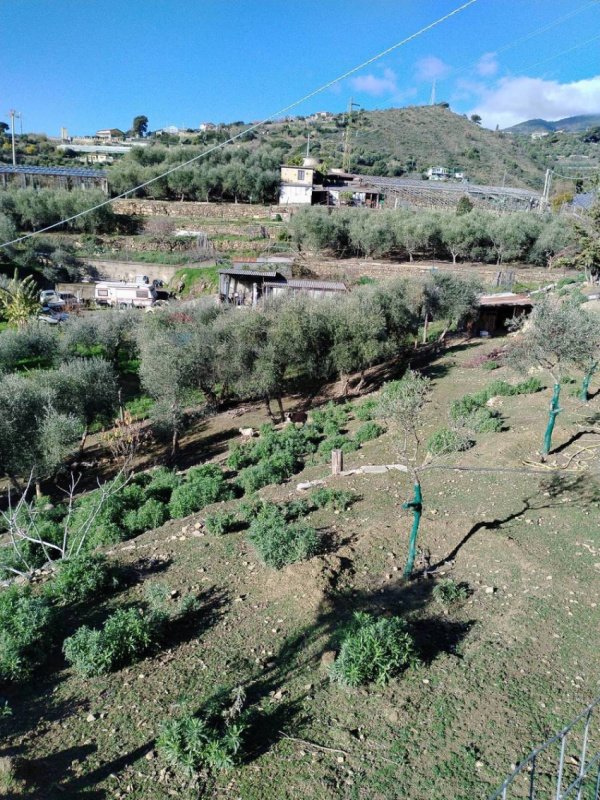 Terreno agrícola em Sanremo