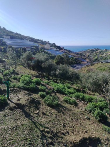 Jordbruksmark i Sanremo