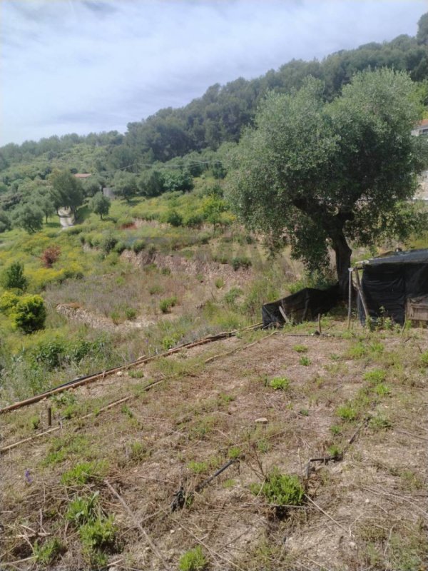 Landbouwgrond in Sanremo