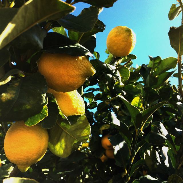 Вилла в Чанчана