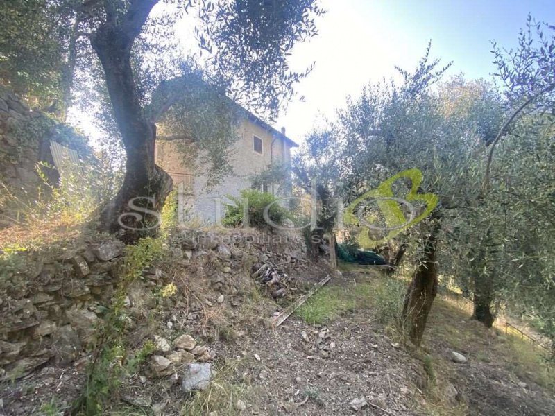 Detached house in Olivetta San Michele