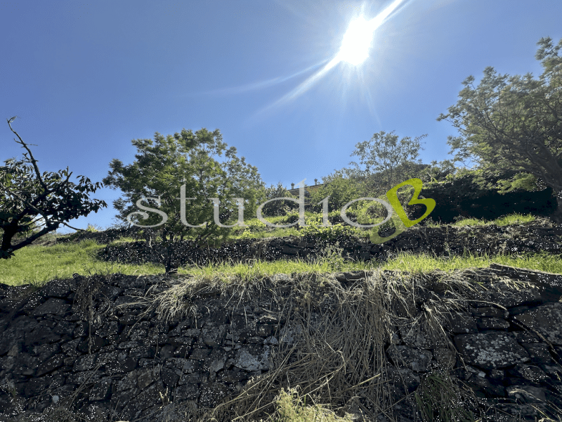 Building plot in Bordighera