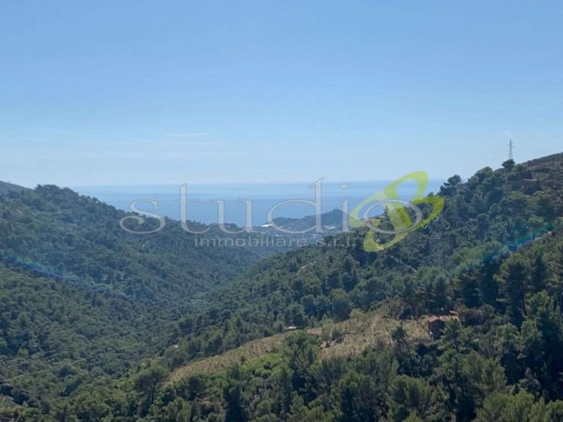 Квартира в Себорга