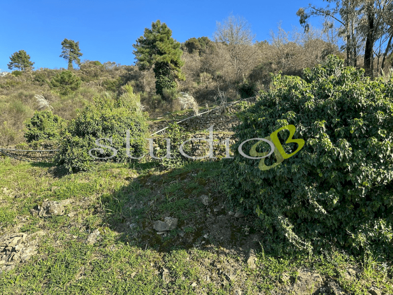 Building plot in Vallebona