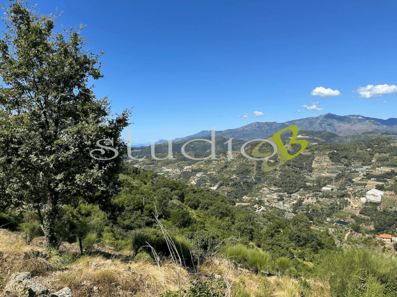 Terreno edificabile a Vallebona