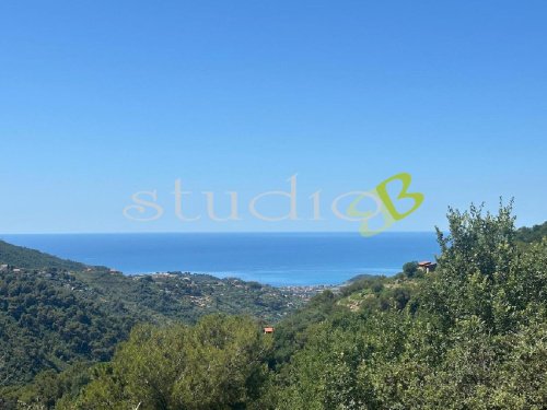 Terreno edificabile a Vallebona