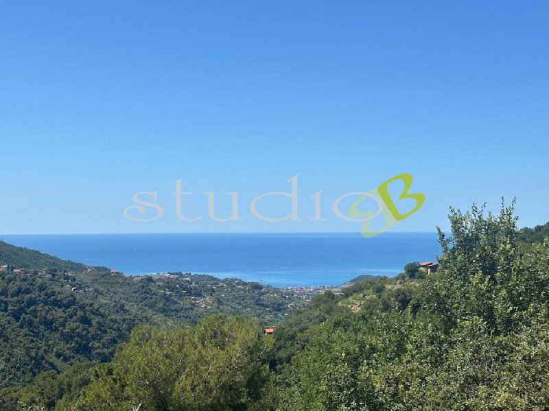 Terreno edificabile a Vallebona