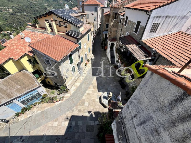 Особняк из двух квартир в Себорга