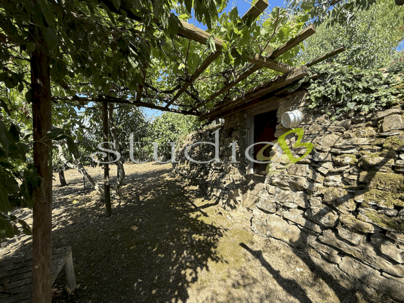 Apartment in Perinaldo