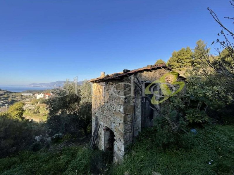 博尔迪盖拉房屋