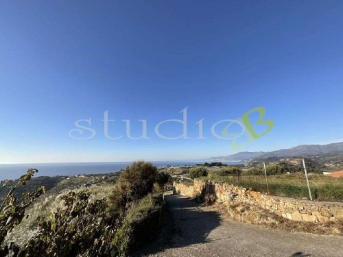 博尔迪盖拉房屋