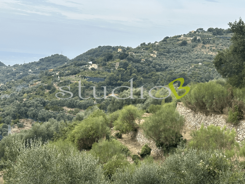 Building plot in Vallebona