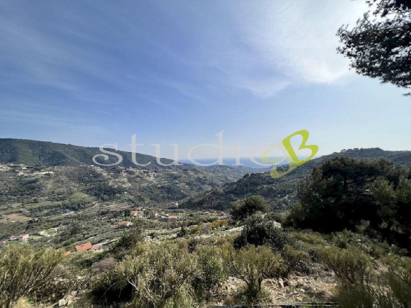 Building plot in Vallebona