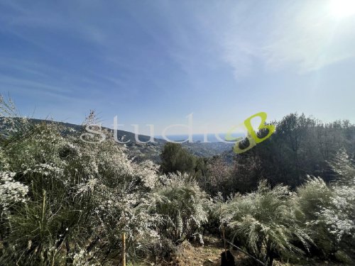 Terreno edificabile a Vallebona