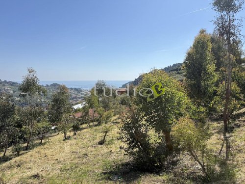 Bouwgrond in Bordighera
