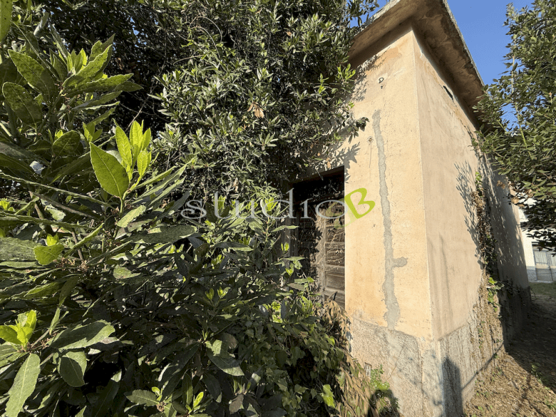 House in San Biagio della Cima